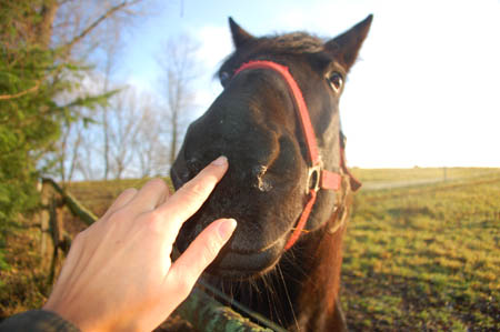 DSC_0662611aM.MrozOrio0023