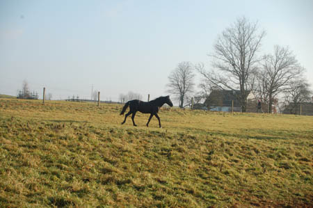 DSC_0860325M.Mroz84kop0038