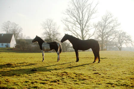 DSC_0925390bM.MrozBrav0045