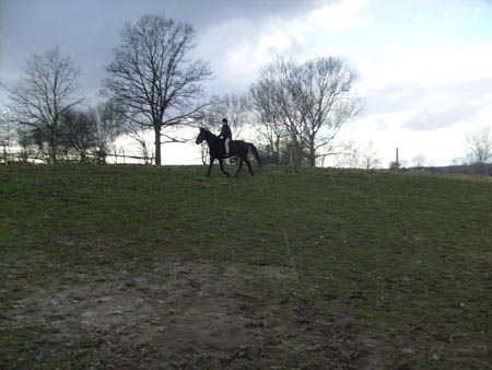 MartaAgata_TORDIS_2008_3_13