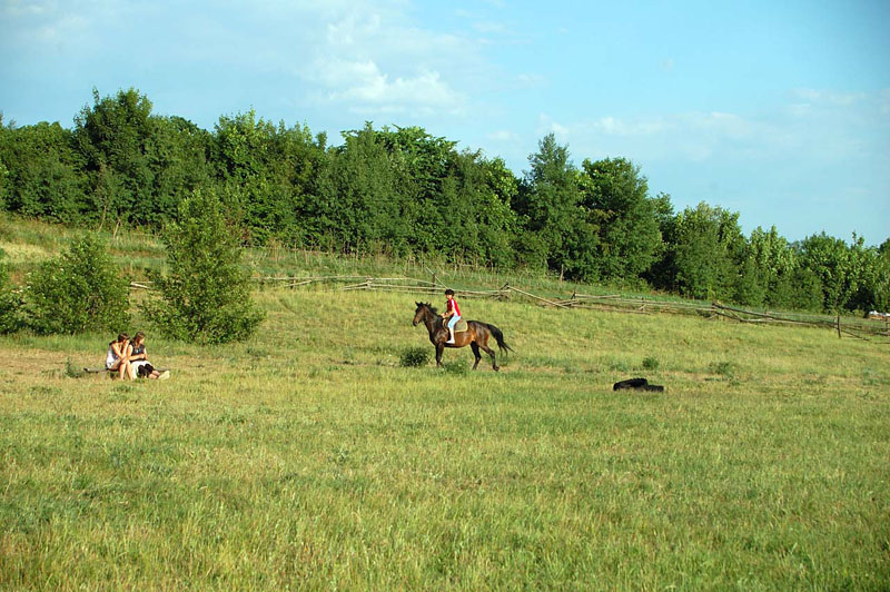 08.6.7FestNoweWorowo_129