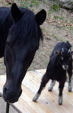 003Maennerfreundschaft